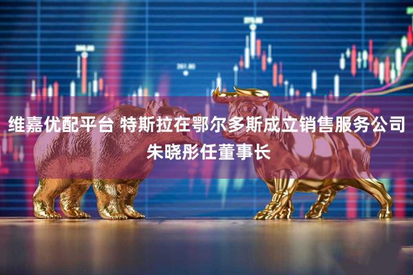维嘉优配平台 特斯拉在鄂尔多斯成立销售服务公司 朱晓彤任董事长