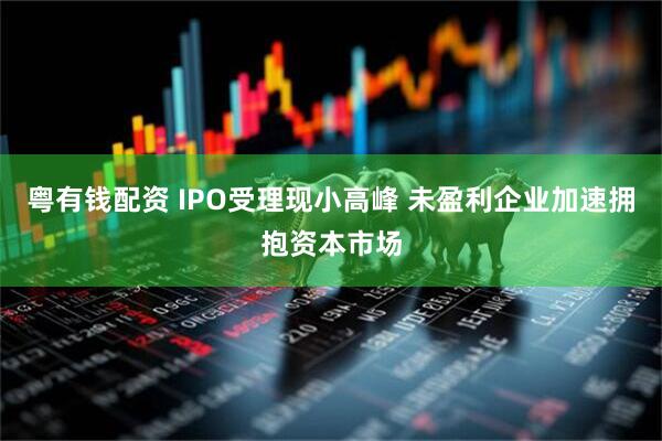 粤有钱配资 IPO受理现小高峰 未盈利企业加速拥抱资本市场
