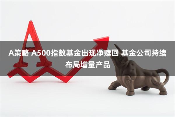 A策略 A500指数基金出现净赎回 基金公司持续布局增量产品